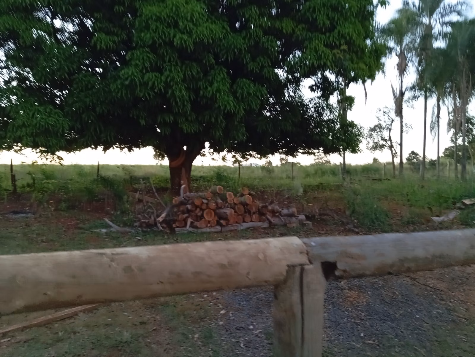 Small farm of 30 acres in Paranaíba, MS, Brazil