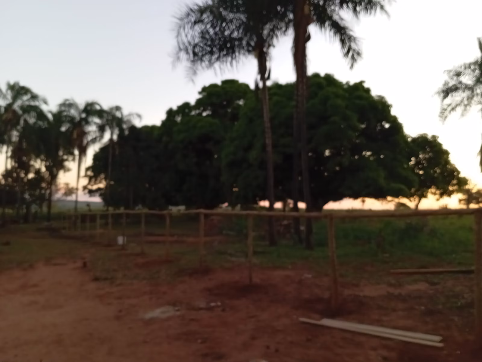 Small farm of 30 acres in Paranaíba, MS, Brazil