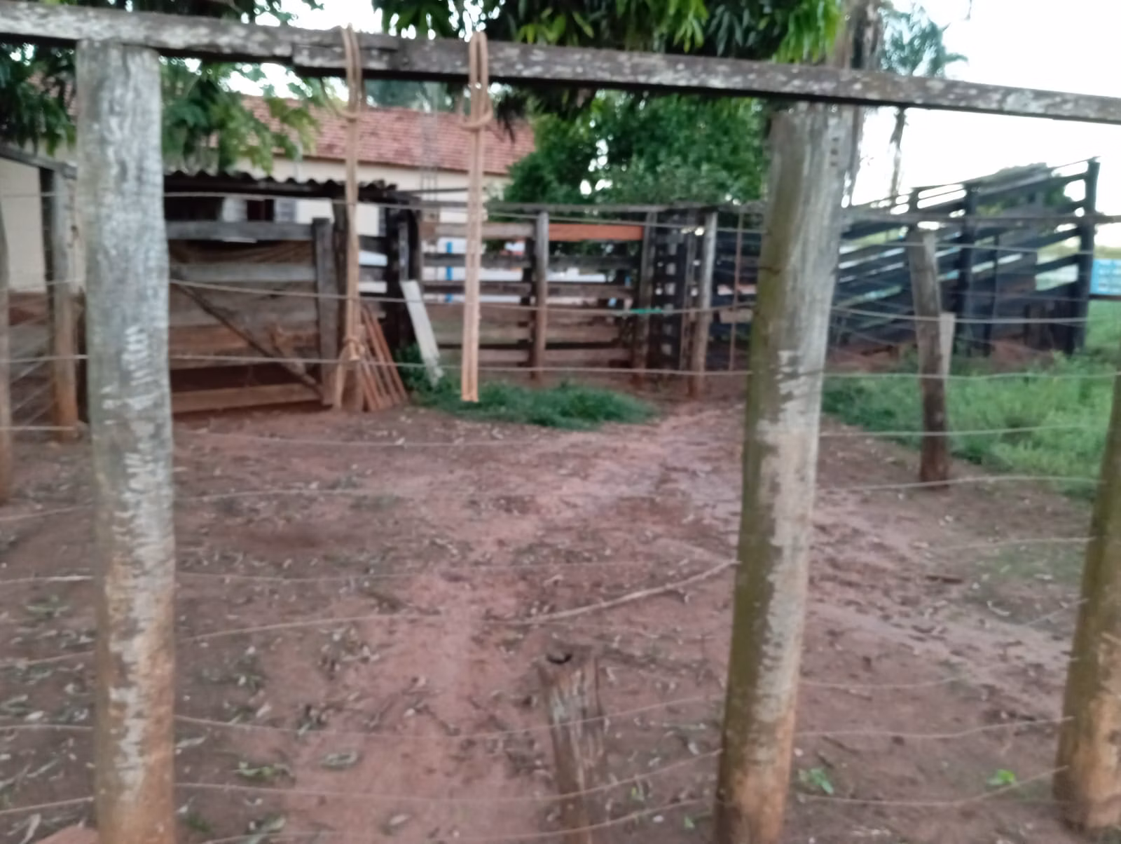 Small farm of 30 acres in Paranaíba, MS, Brazil
