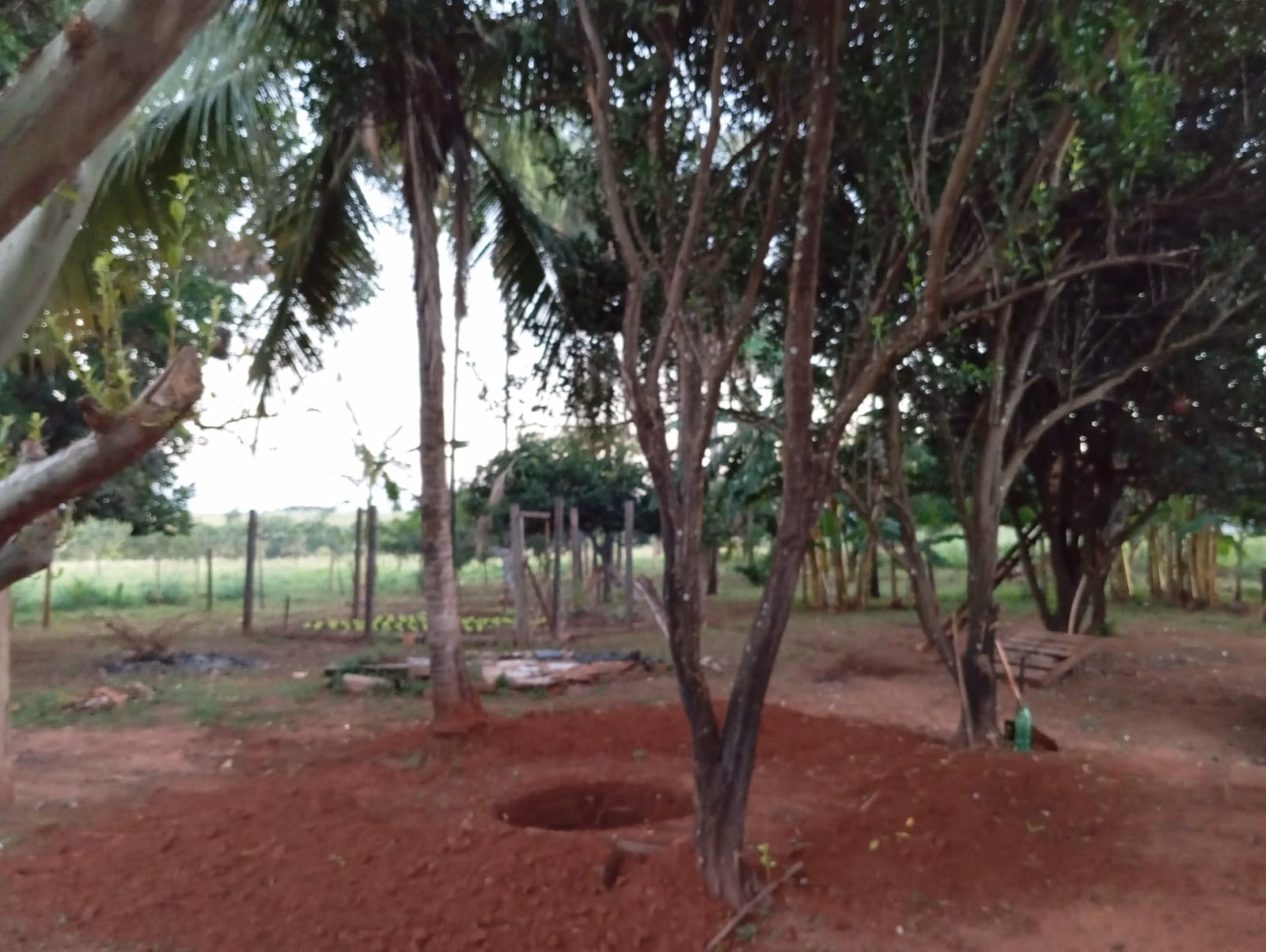 Small farm of 30 acres in Paranaíba, MS, Brazil