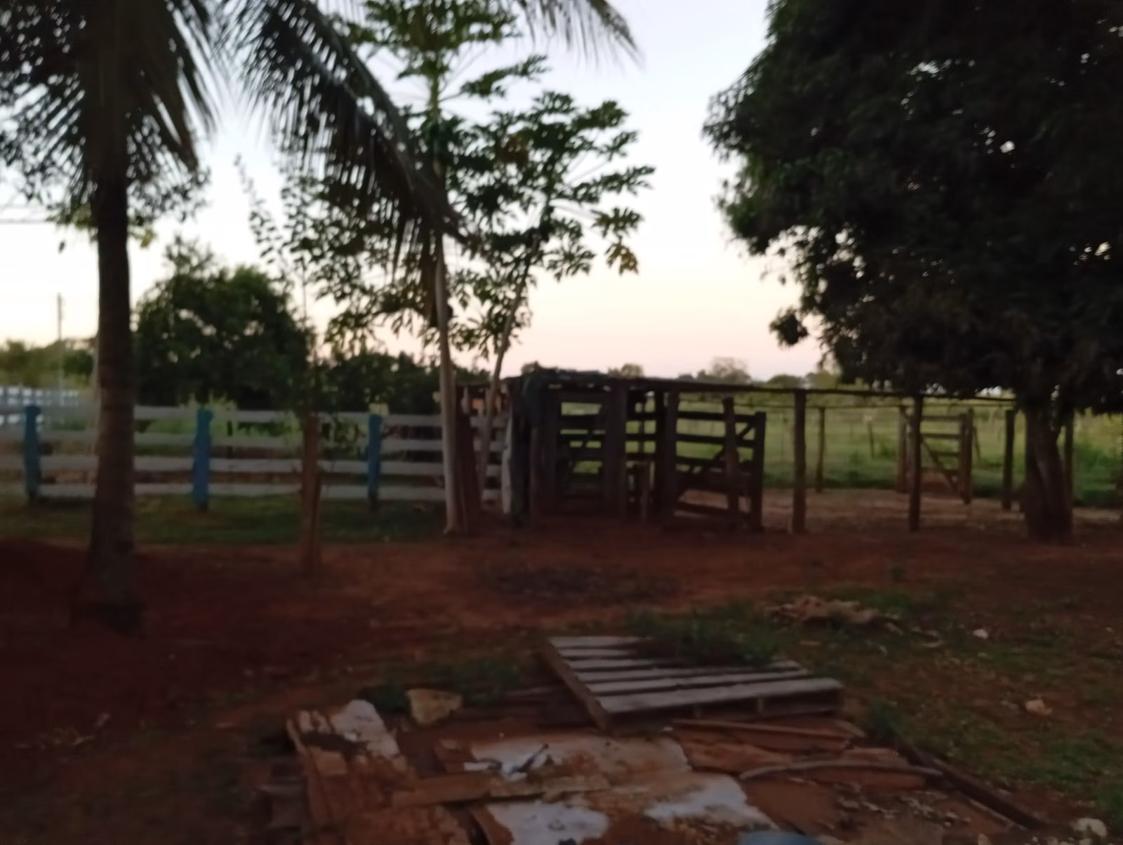Small farm of 30 acres in Paranaíba, MS, Brazil