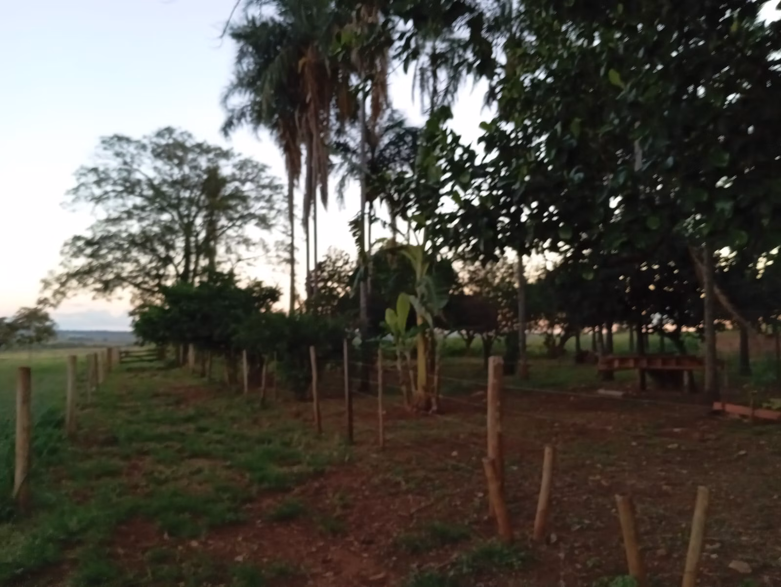 Small farm of 30 acres in Paranaíba, MS, Brazil