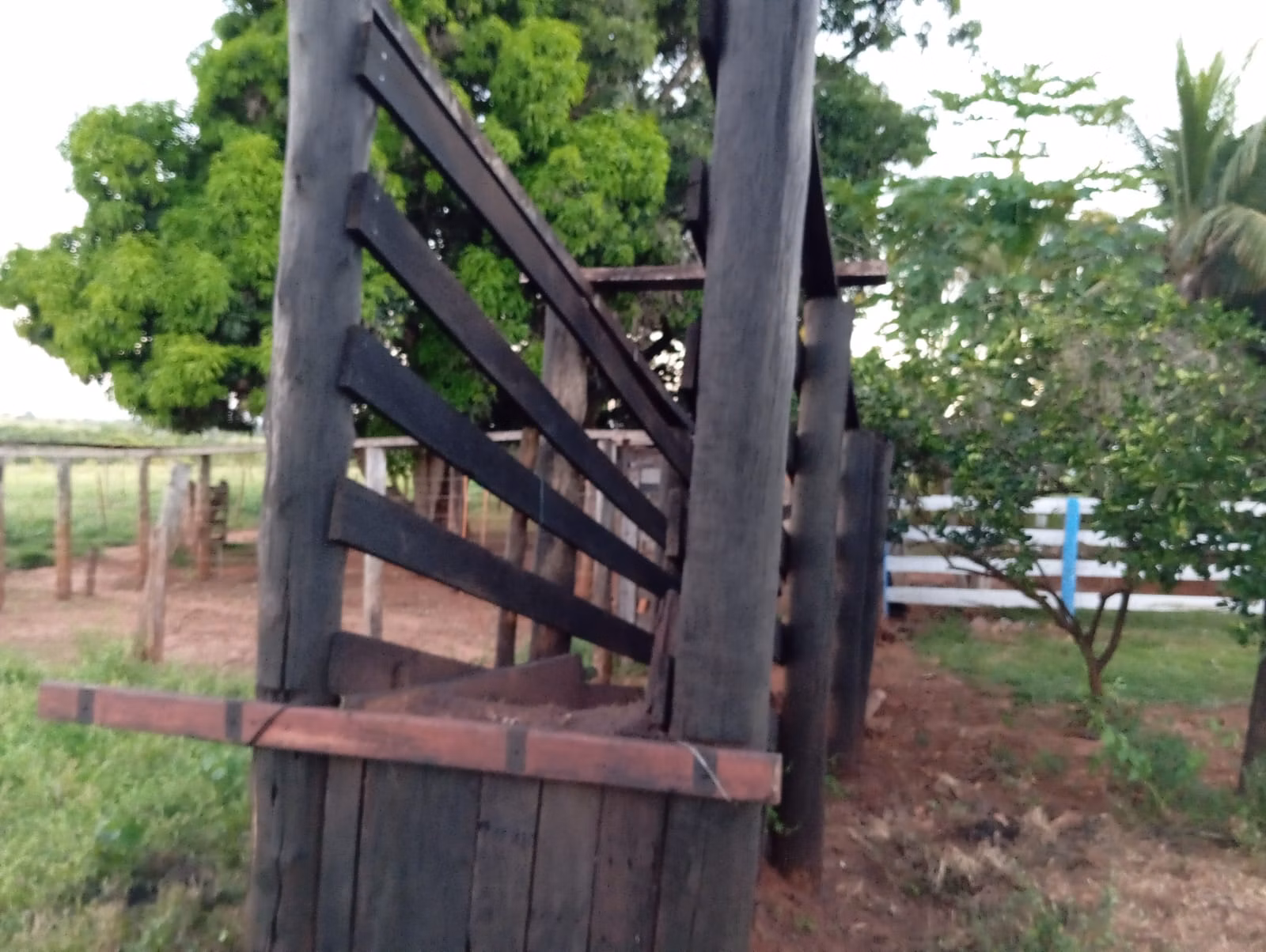 Small farm of 30 acres in Paranaíba, MS, Brazil