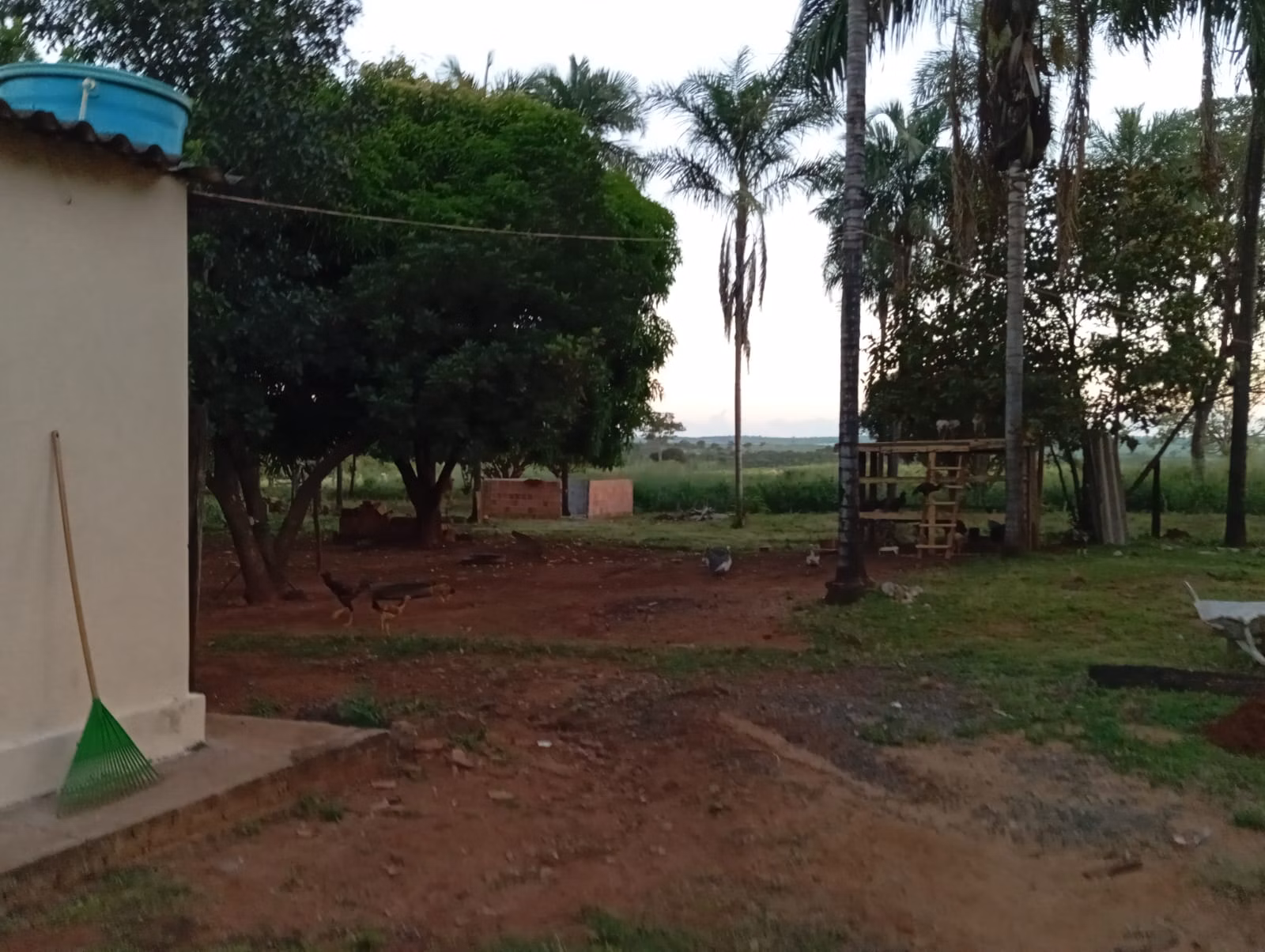 Small farm of 30 acres in Paranaíba, MS, Brazil