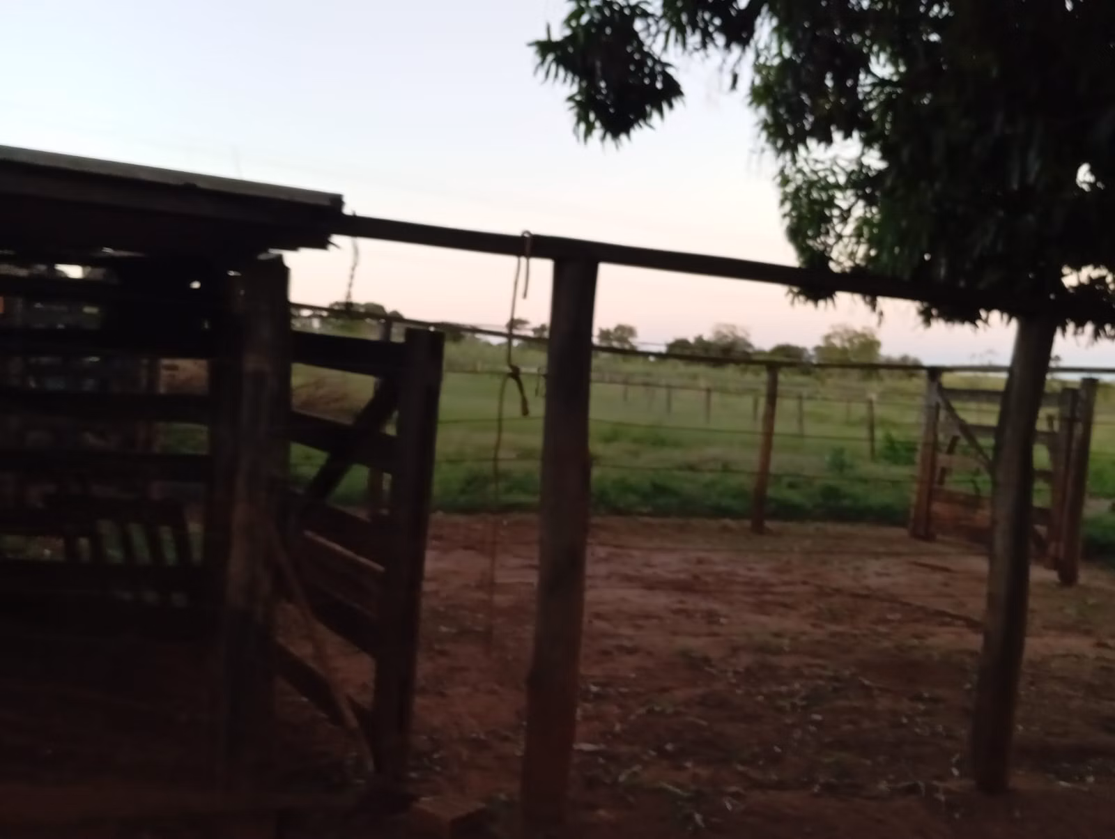 Small farm of 30 acres in Paranaíba, MS, Brazil