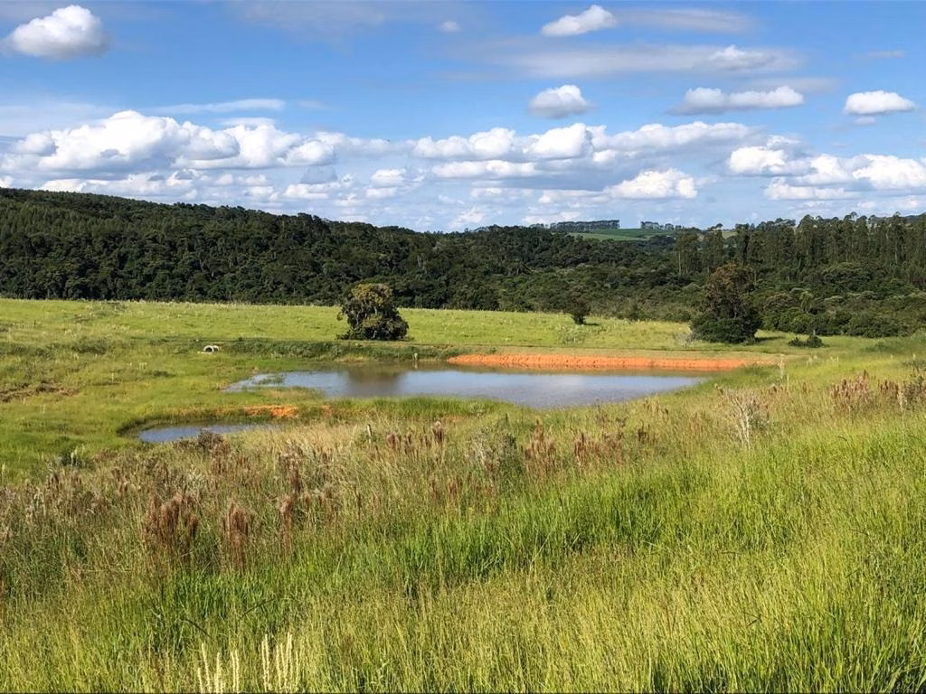 Fazenda de 211 ha em Itapetininga, SP