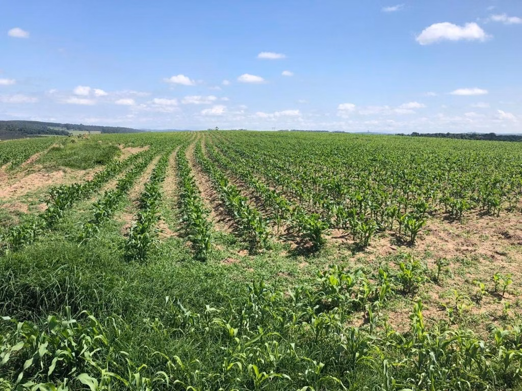 Fazenda de 211 ha em Itapetininga, SP