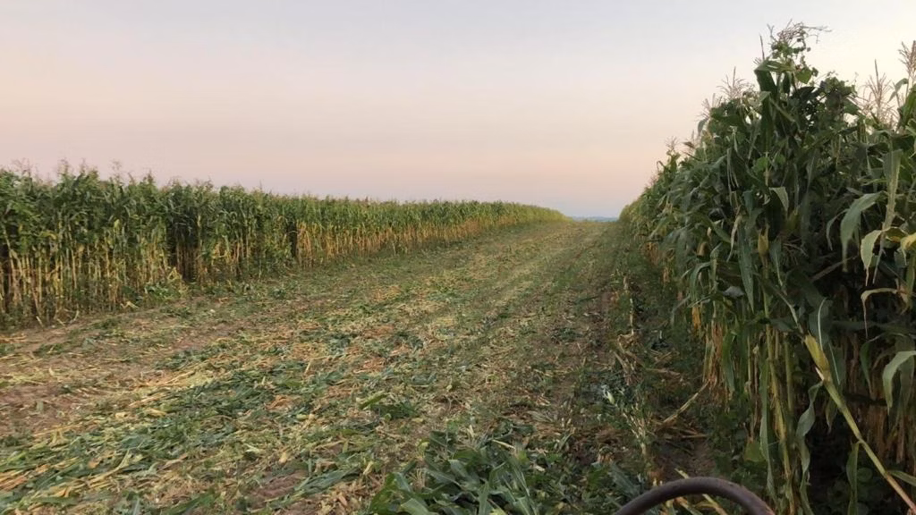 Fazenda de 211 ha em Itapetininga, SP