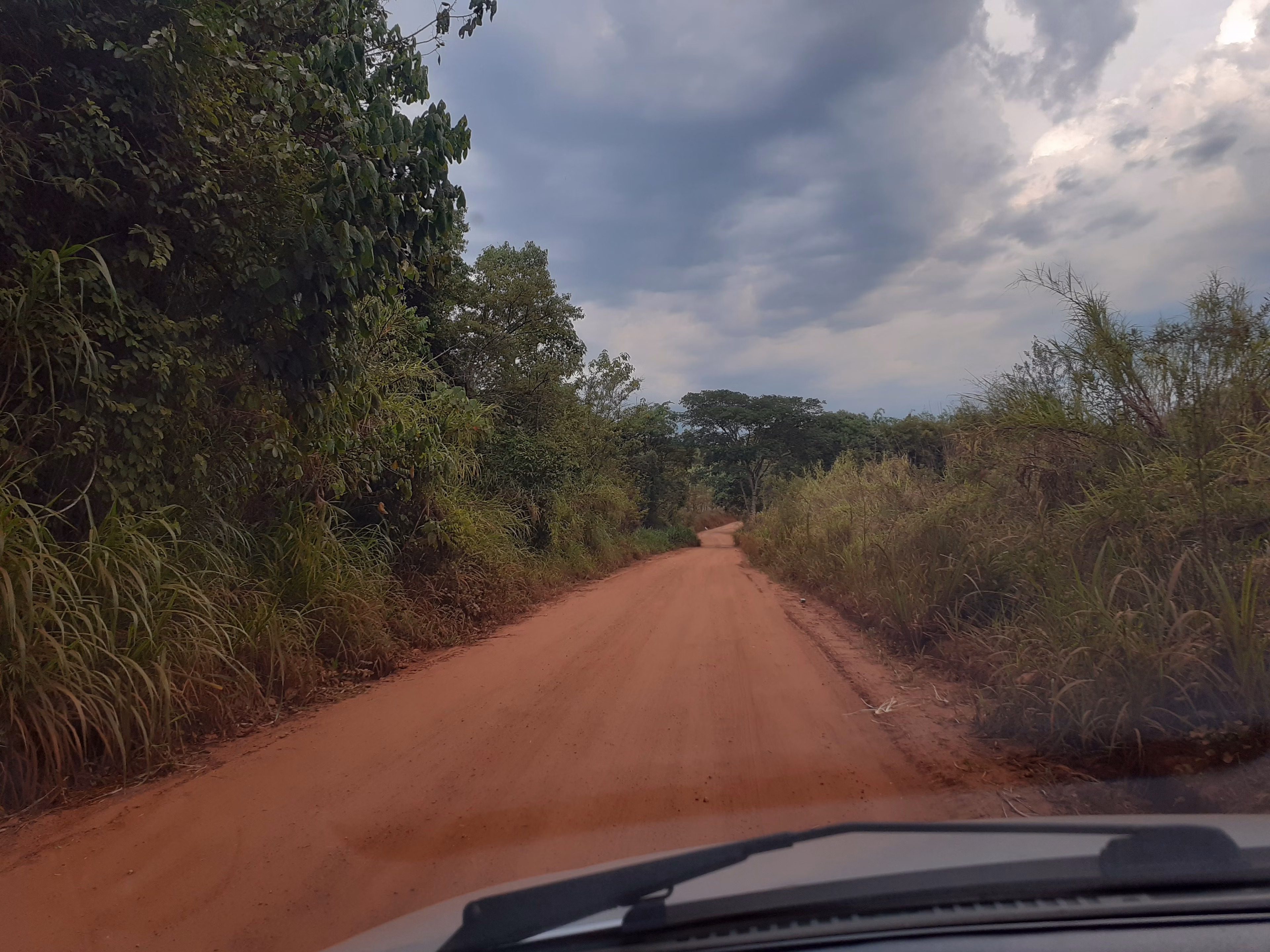 Small farm of 43 acres in Itirapuã, SP, Brazil