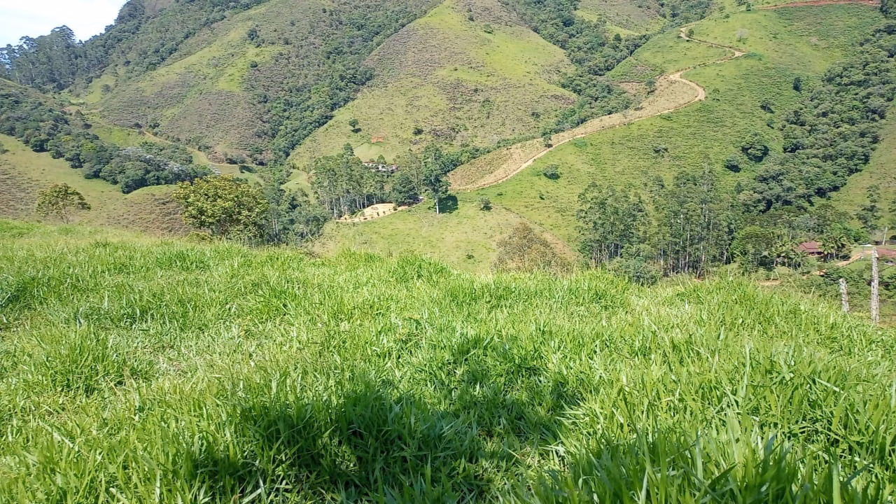 Small farm of 36 acres in São José dos Campos, SP, Brazil