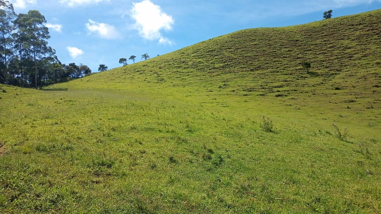 Small farm of 36 acres in São José dos Campos, SP, Brazil