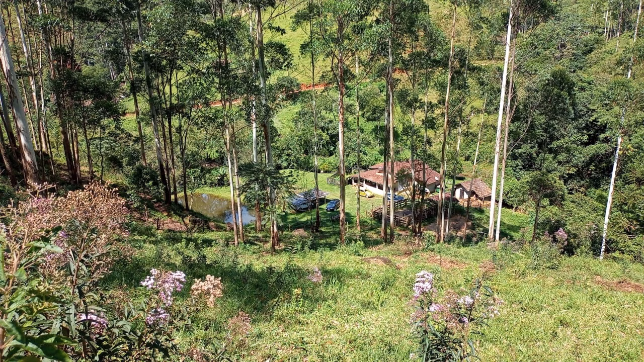 Small farm of 36 acres in São José dos Campos, SP, Brazil