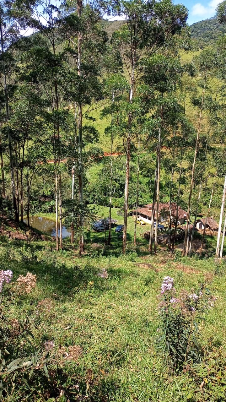 Small farm of 36 acres in São José dos Campos, SP, Brazil