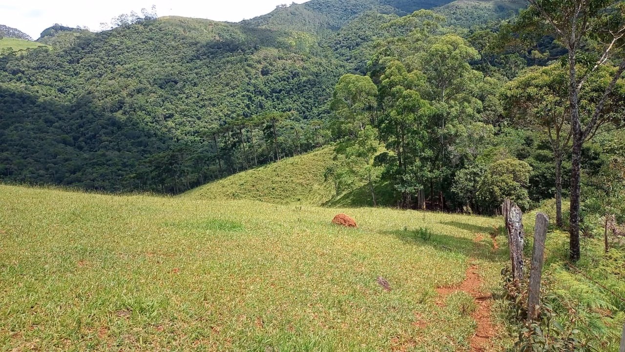 Small farm of 36 acres in São José dos Campos, SP, Brazil