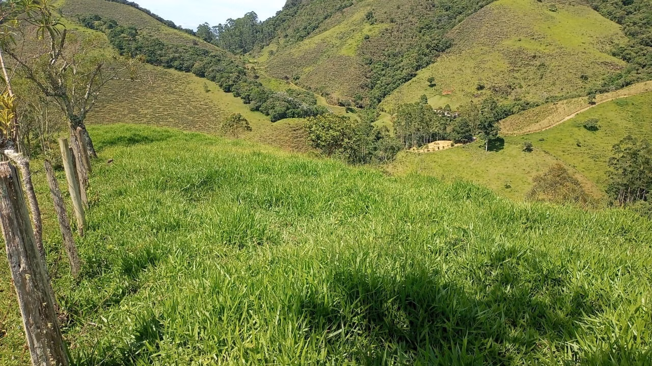 Small farm of 36 acres in São José dos Campos, SP, Brazil