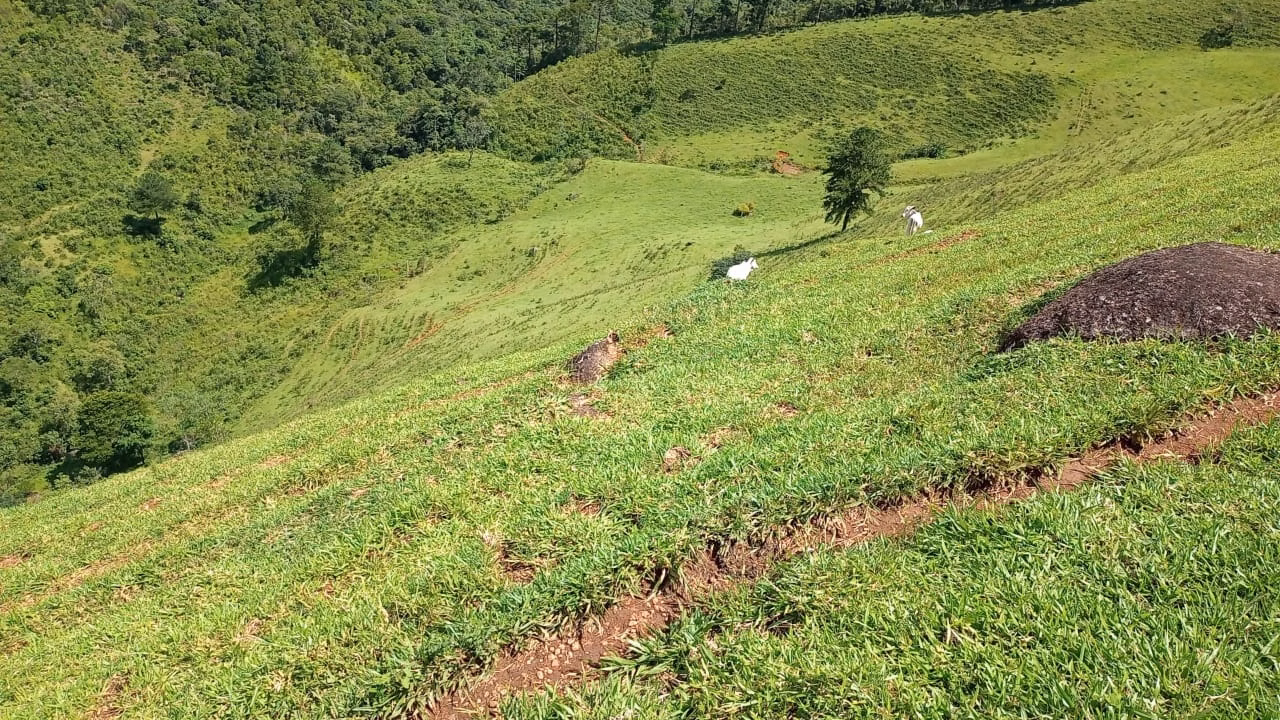 Small farm of 36 acres in São José dos Campos, SP, Brazil