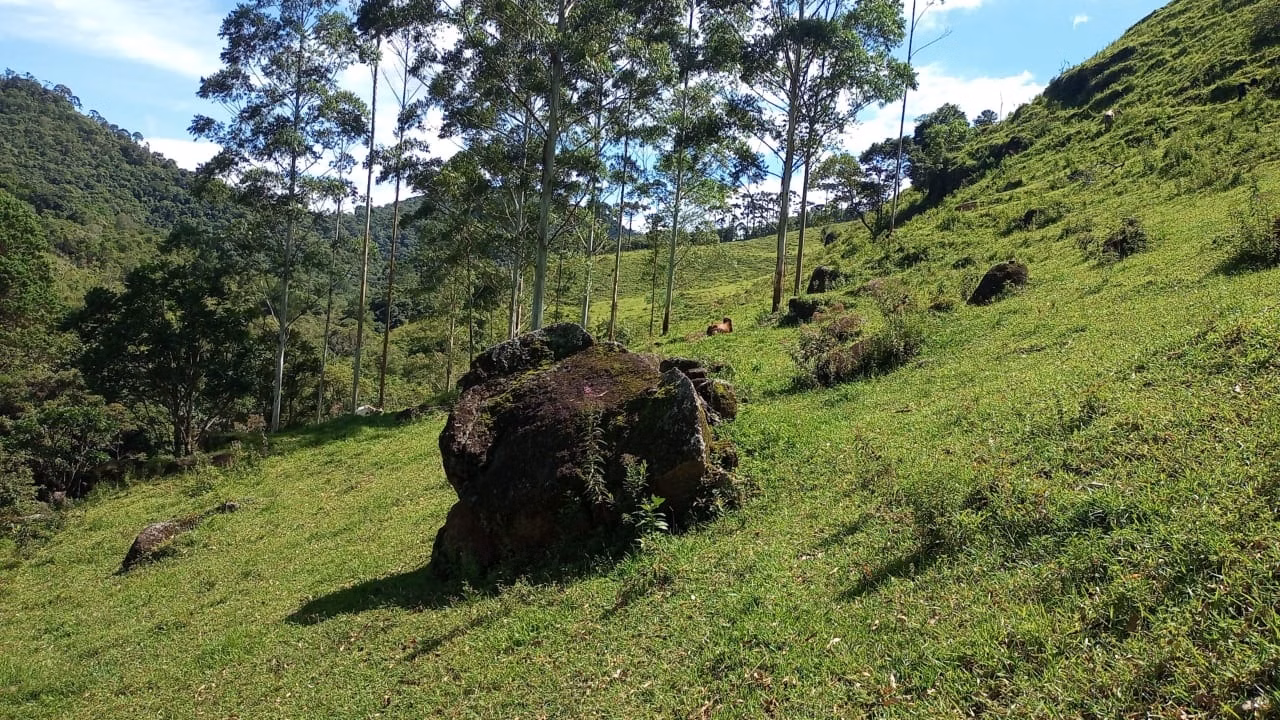 Small farm of 36 acres in São José dos Campos, SP, Brazil