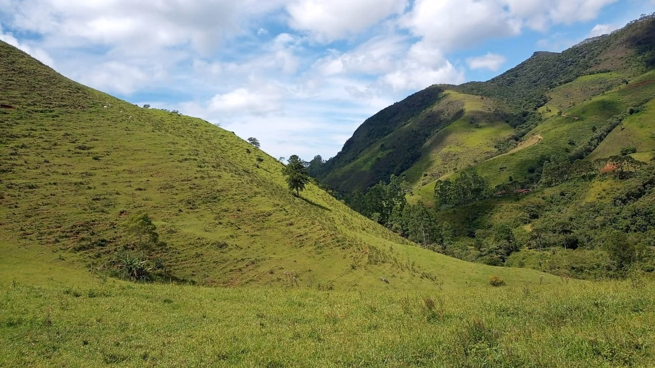 Small farm of 36 acres in São José dos Campos, SP, Brazil
