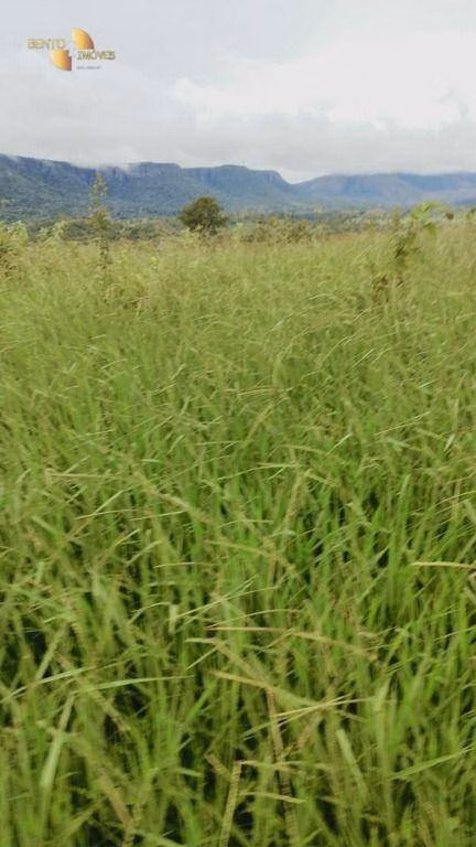 Fazenda de 1.227 ha em Porto Esperidião, MT