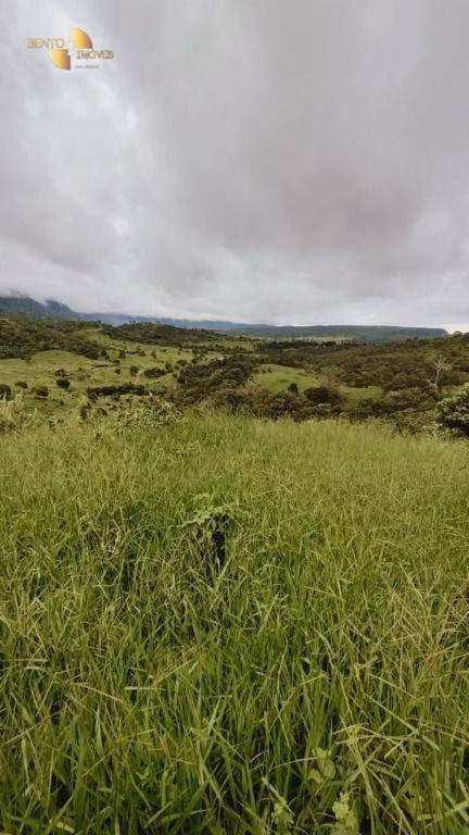 Fazenda de 1.227 ha em Porto Esperidião, MT