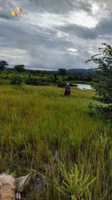 Fazenda de 1.227 ha em Porto Esperidião, MT