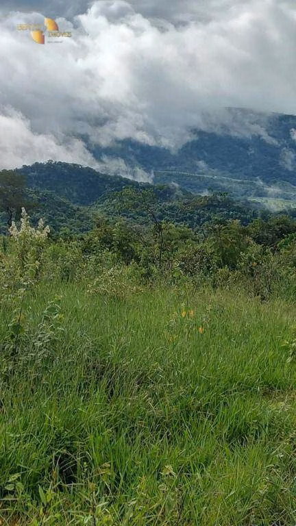 Fazenda de 1.227 ha em Porto Esperidião, MT