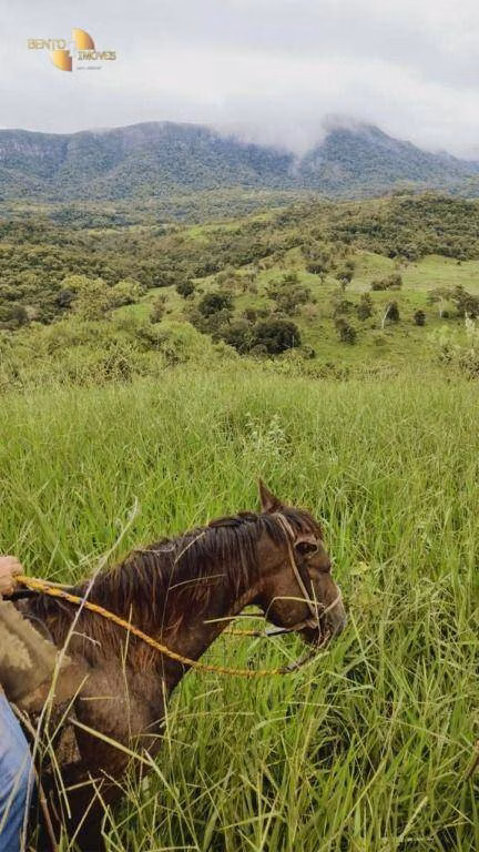 Fazenda de 1.227 ha em Porto Esperidião, MT