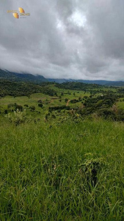 Fazenda de 1.227 ha em Porto Esperidião, MT