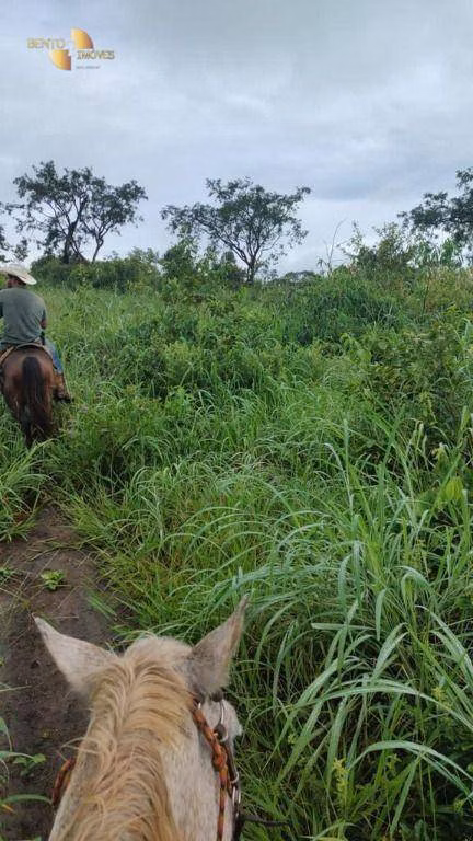 Fazenda de 1.227 ha em Porto Esperidião, MT