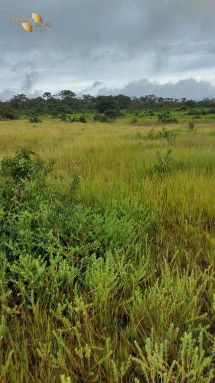 Fazenda de 1.227 ha em Porto Esperidião, MT