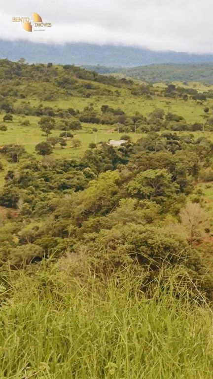 Fazenda de 1.227 ha em Porto Esperidião, MT