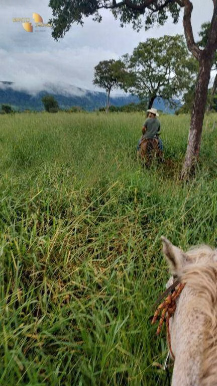 Fazenda de 1.227 ha em Porto Esperidião, MT