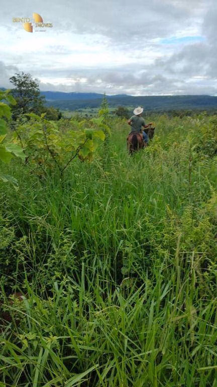 Fazenda de 1.227 ha em Porto Esperidião, MT
