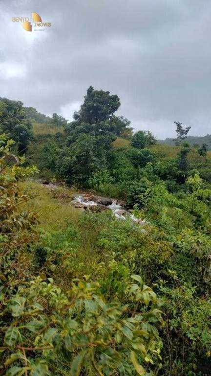 Fazenda de 1.227 ha em Porto Esperidião, MT