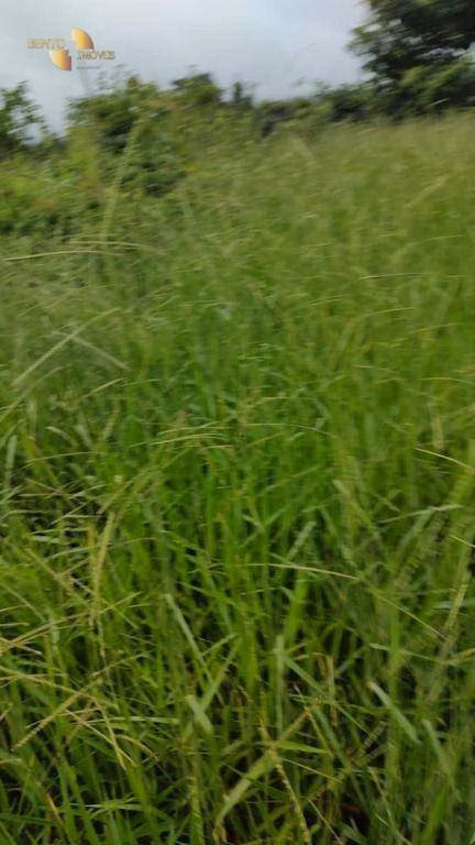 Fazenda de 1.227 ha em Porto Esperidião, MT