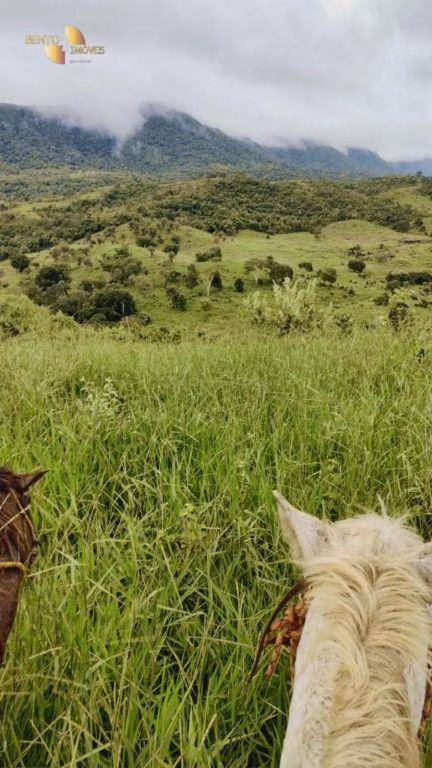 Fazenda de 1.227 ha em Porto Esperidião, MT