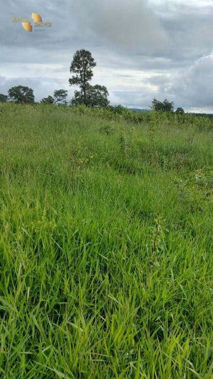 Fazenda de 1.227 ha em Porto Esperidião, MT