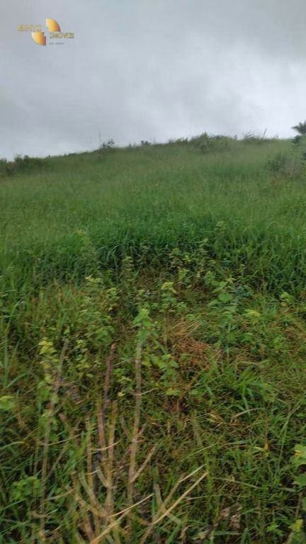 Fazenda de 1.227 ha em Porto Esperidião, MT