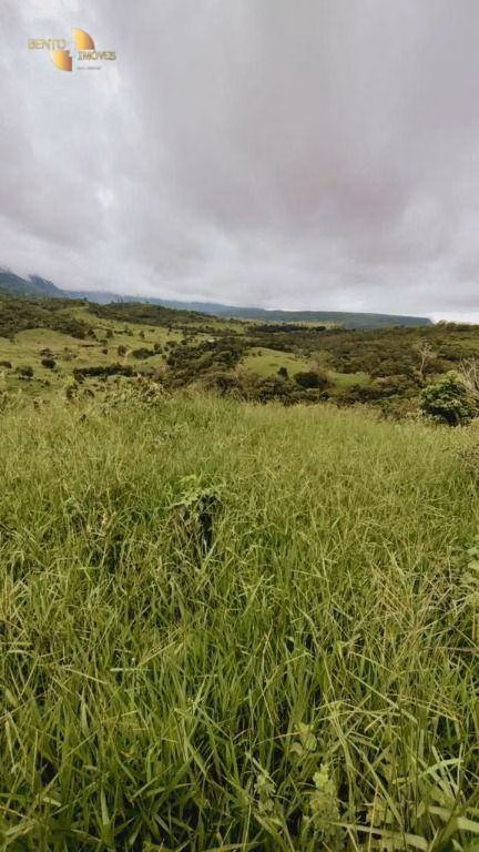 Fazenda de 1.227 ha em Porto Esperidião, MT