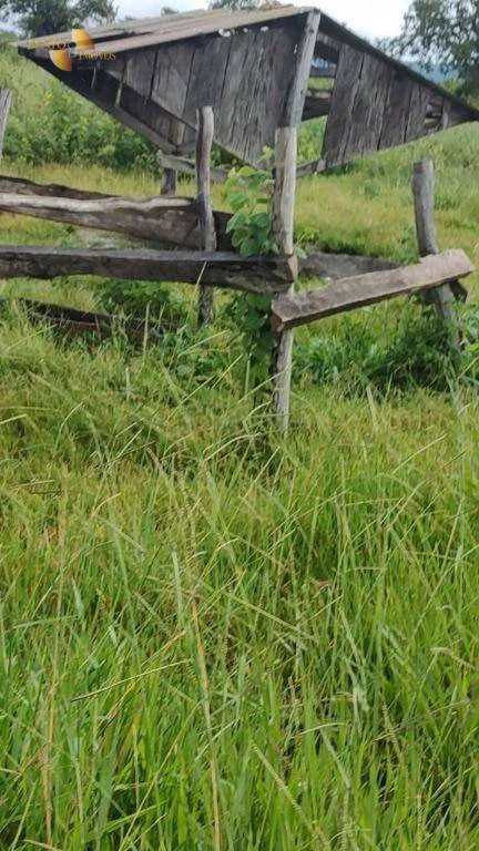 Fazenda de 1.227 ha em Porto Esperidião, MT