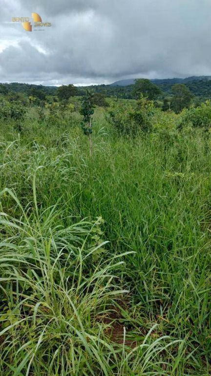 Fazenda de 1.227 ha em Porto Esperidião, MT