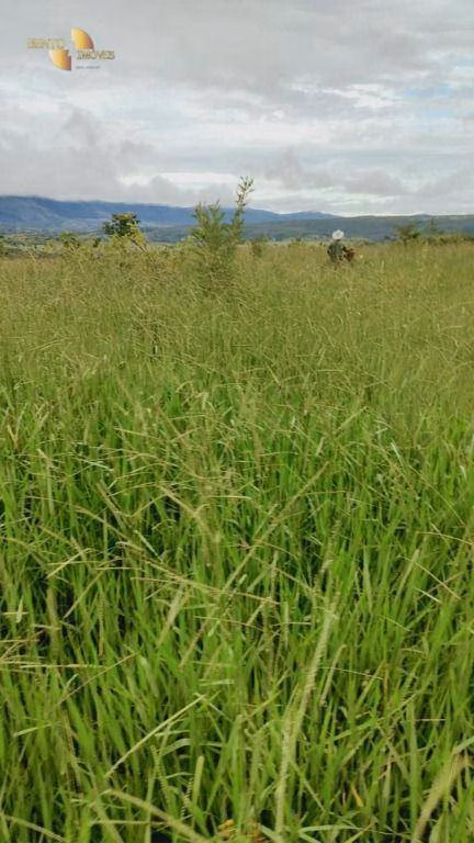 Fazenda de 1.227 ha em Porto Esperidião, MT