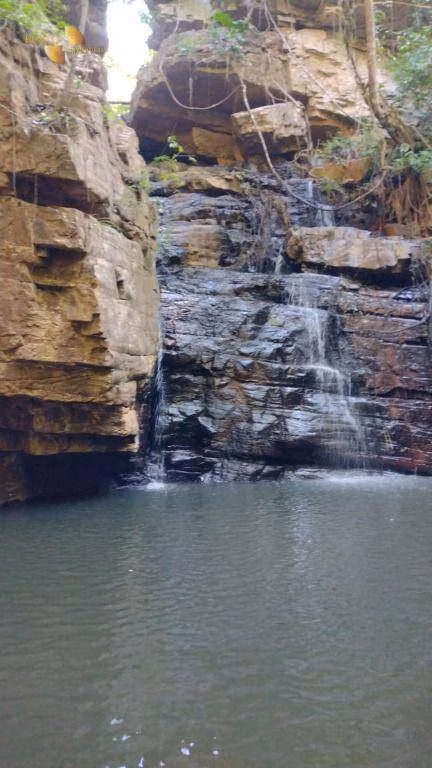 Fazenda de 1.227 ha em Porto Esperidião, MT