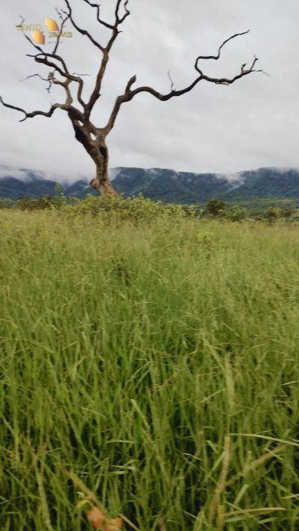 Fazenda de 1.227 ha em Porto Esperidião, MT