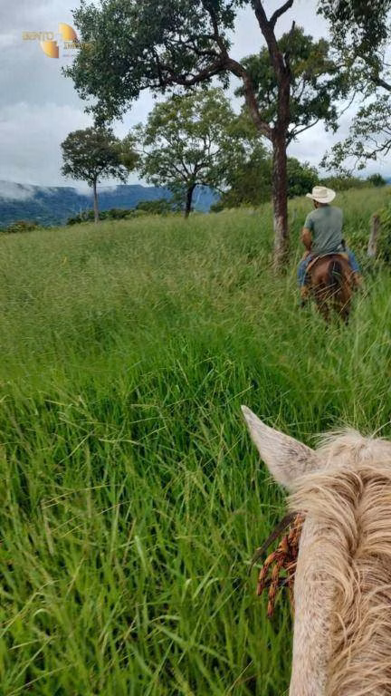 Fazenda de 1.227 ha em Porto Esperidião, MT