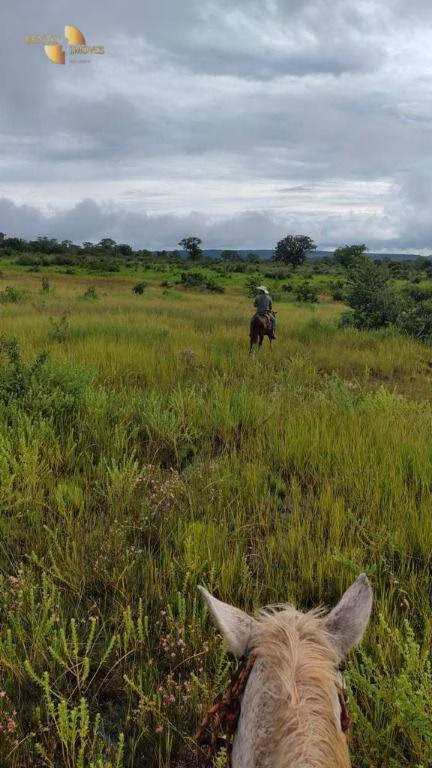 Fazenda de 1.227 ha em Porto Esperidião, MT