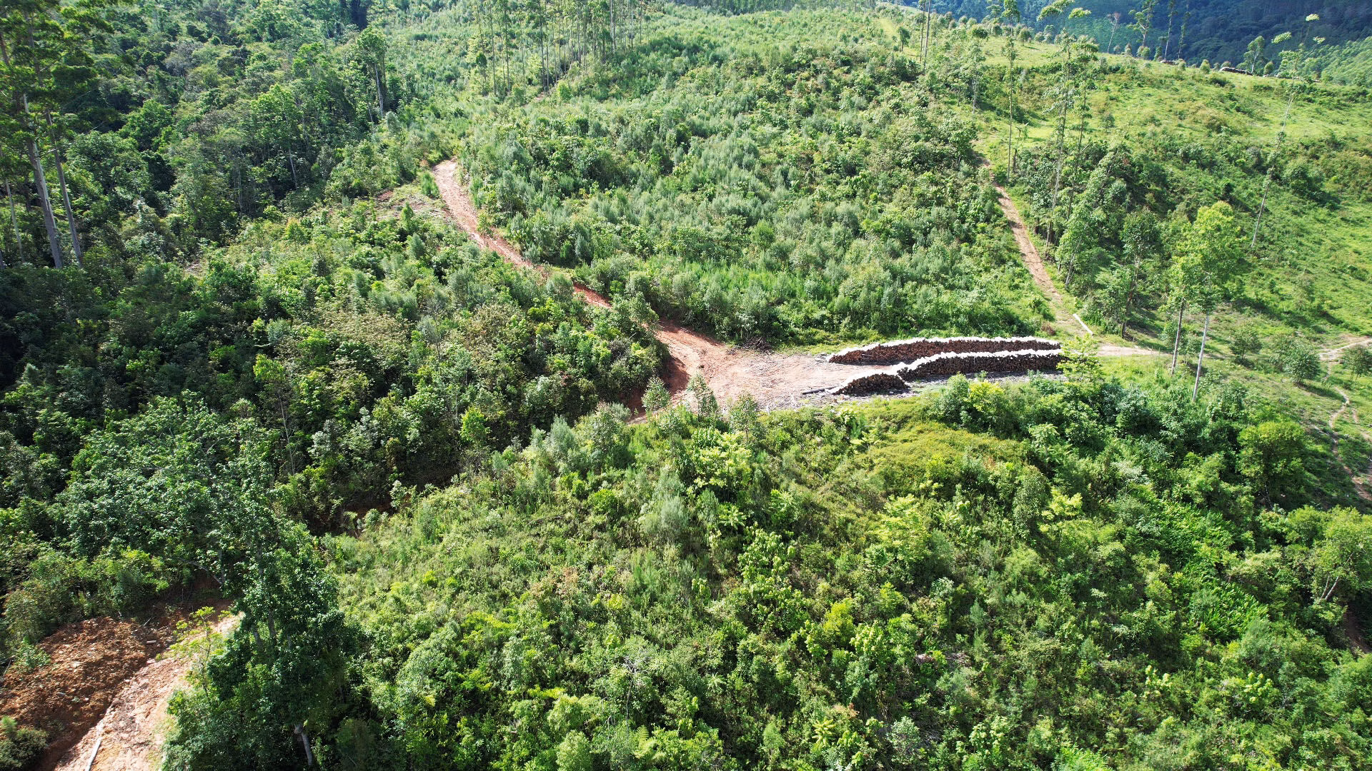 Terreno de 20 ha em Vitor Meireles, SC