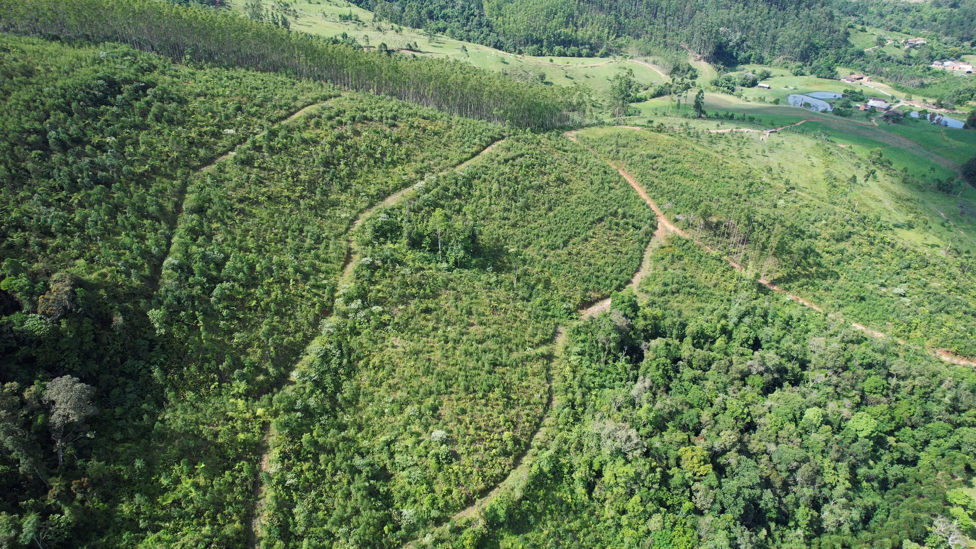 Terreno de 20 ha em Vitor Meireles, SC