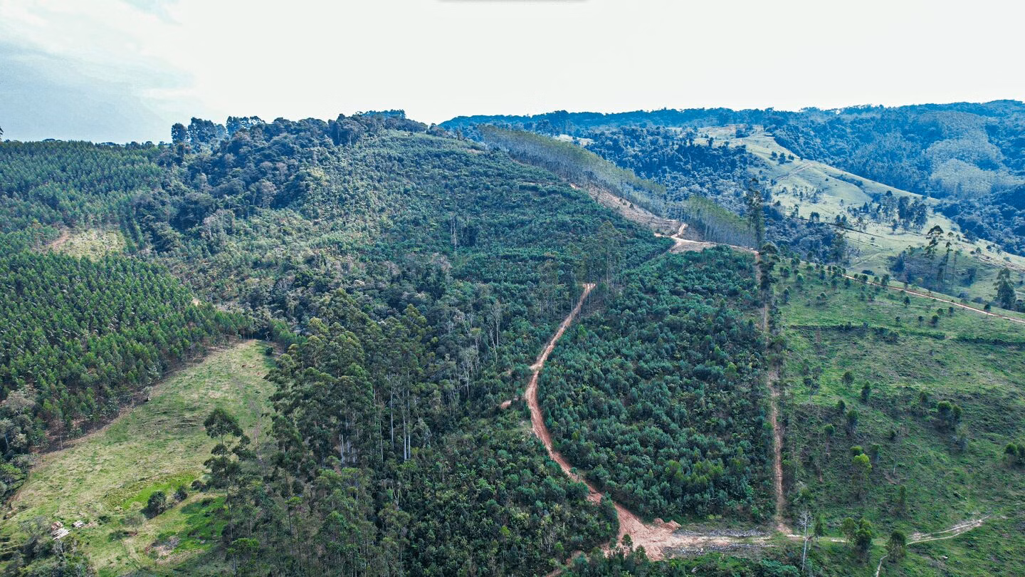 Terreno de 20 ha em Vitor Meireles, SC
