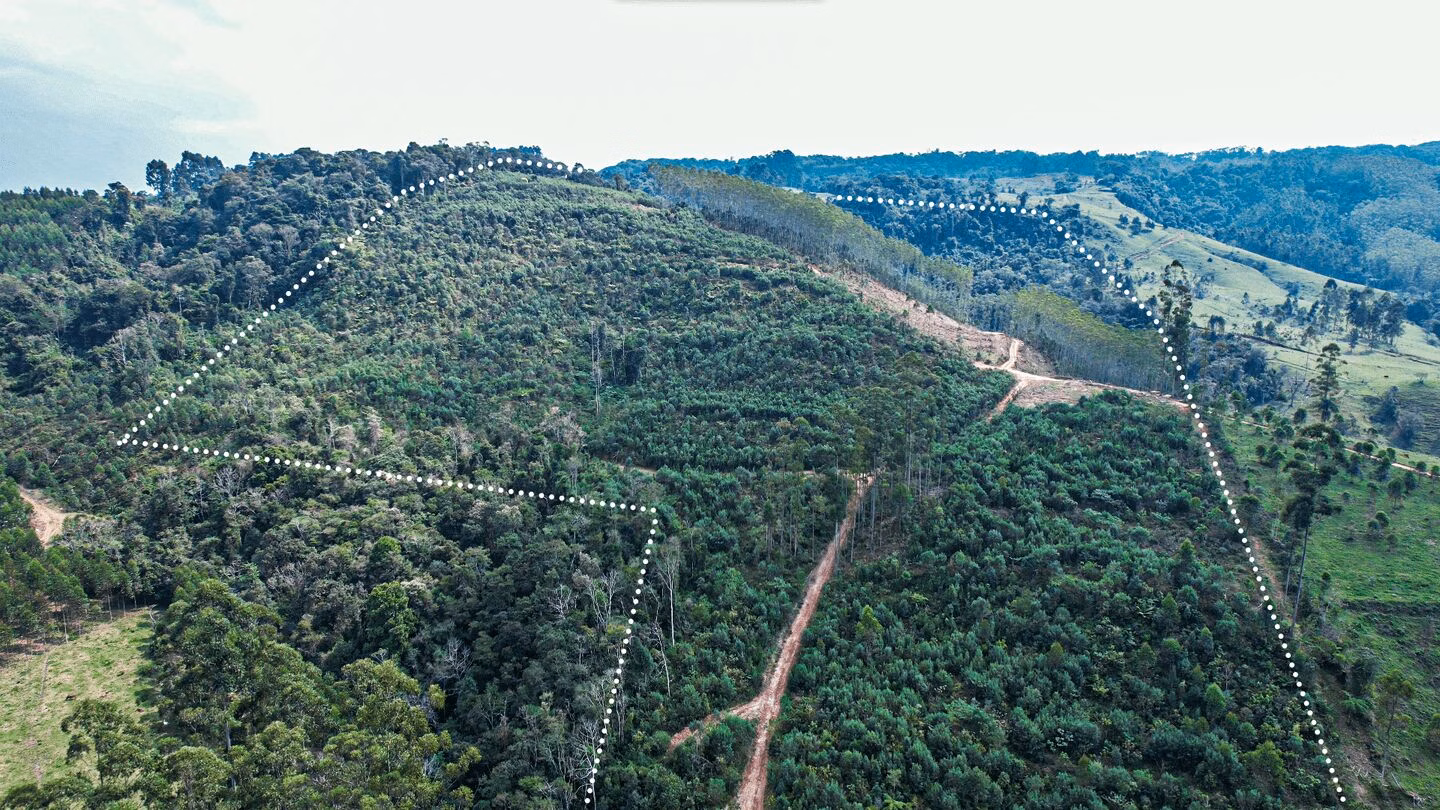 Terreno de 20 ha em Vitor Meireles, SC